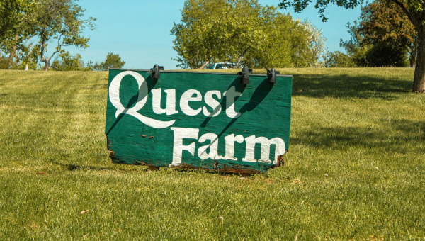 Quest Farm Empowers Individuals With Developmental Disabilities